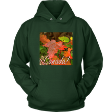 Load image into Gallery viewer, Unisex Hoodie - Autumn Dew Drops Canada Design