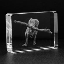 Load image into Gallery viewer, Personalized Crystal - Stadium - Free Shipping!