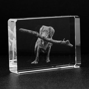Personalized Crystal - Stadium - Free Shipping!