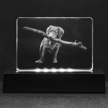 Load image into Gallery viewer, Personalized Crystal - Stadium - Free Shipping!