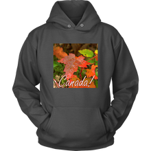 Load image into Gallery viewer, Unisex Hoodie - Autumn Dew Drops Canada Design