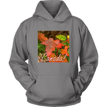 Load image into Gallery viewer, Unisex Hoodie - Autumn Dew Drops Canada Design