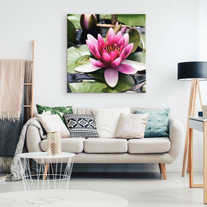 Canvas Wrap Square Frame - Lily Pad Design