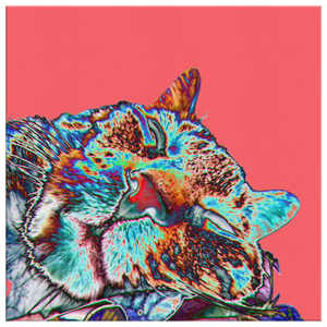 Canvas Wrap - Diggin' Diego Pink