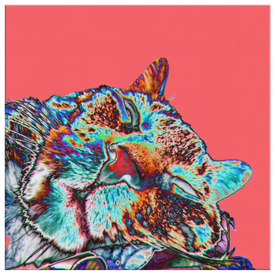 Canvas Wrap - Diggin' Diego Pink
