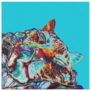 Canvas Wrap - Diggin' Diego Turquoise