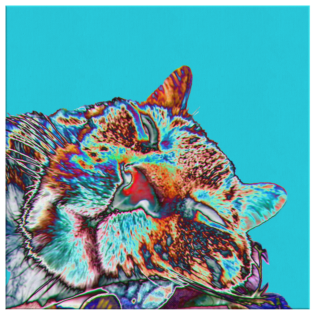 Canvas Wrap - Diggin' Diego Turquoise